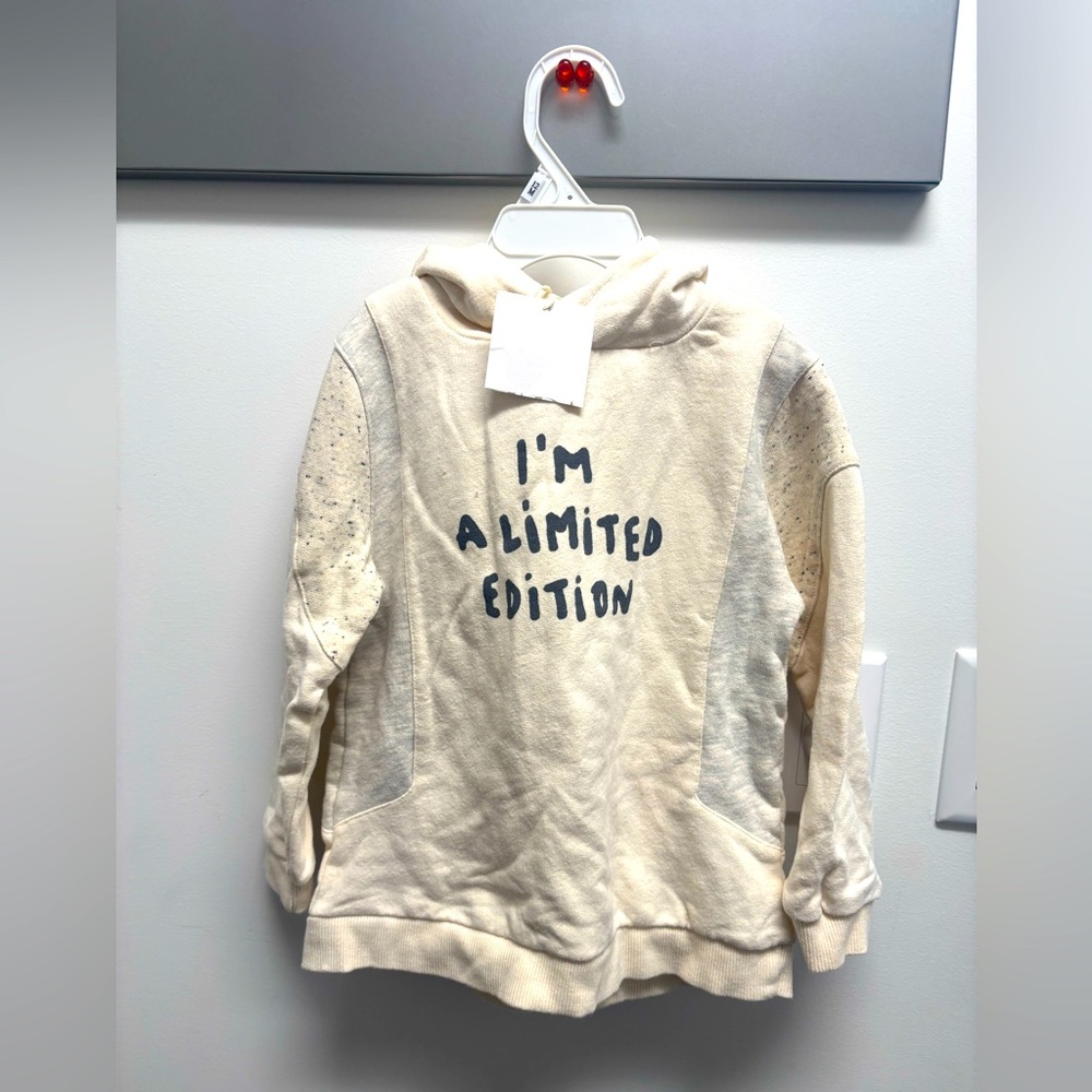 NWT Zara kids sweatshirt size 3-4 years.  So cute!
